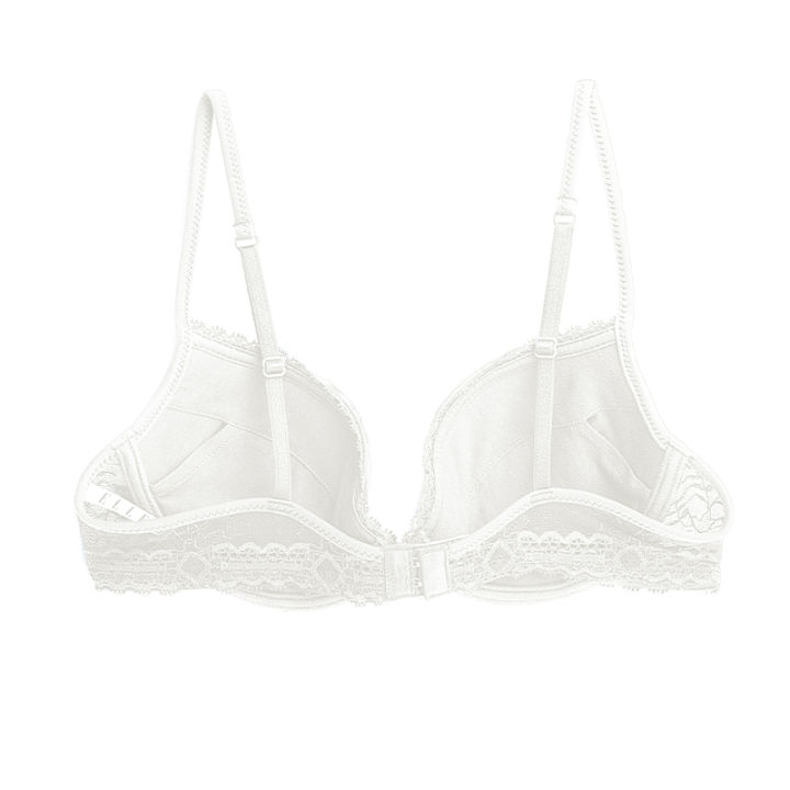 elle-lingerie-molded-bra-pleat-ยกทรงรูปแบบเสริมฟองน้ำ-lb6541