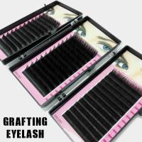 8-15 Mm Natural False Eyelashes 0.15C-shaped Curly DIY Eyelashes Tool Eyelashes Individual Grafting Extensions Volume T4S2