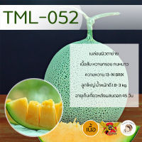 เมล็ดเมล่อนพันธุ์ TML-052 100 เมล็ด ตราพยัคฆ์ติดปีก เมล็ดพันธุ์ เนื้อส้ม ผลไม้