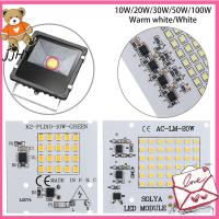 JJHY ชิปหลอดไฟ LED SMD2835 10W 20W 30W 50W 100W 1ชิ้นสีขาว/สีขาวอบอุ่นสมาร์ทไอซีไฟส่องสว่าง