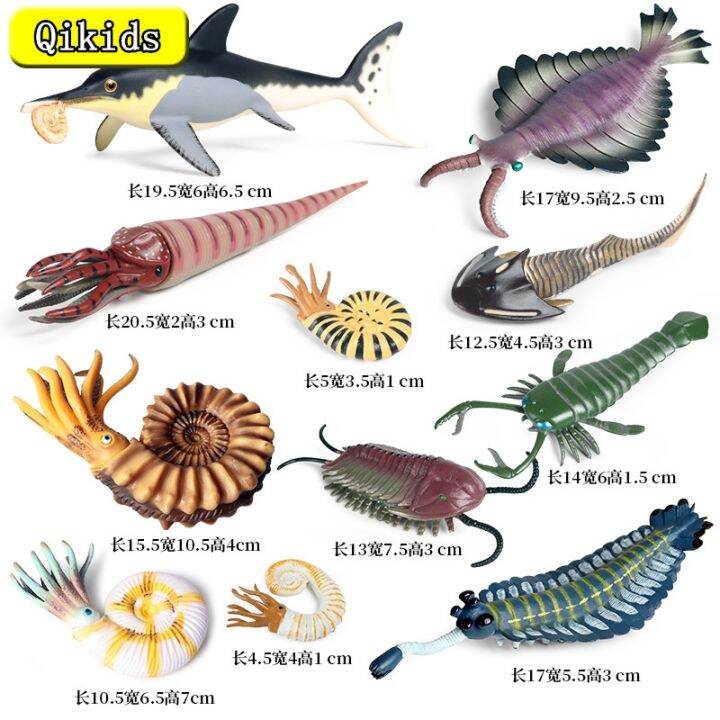 【HOT】 Marine Model Cambrian Ancient Creatures Strange Shrimp Nautilus ...