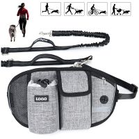 Pet Dog Training Waist Bag Dogs Treat Bag Hands-free Sports Multifunction Outdoor Walk Dog Leash Reflective Waterproof Nylon