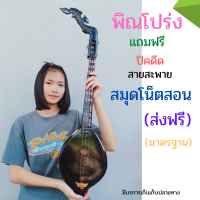 พิณโปร่งมาตรฐาน แถมฟรี ปิคดีด