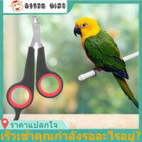 Bird Grooming Tool กรรไกรตัดเล็บนกสแตนเลสสตีลสำหรับนกในครัวเรือน