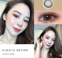 ?ลายขายดี?มีสายตาสั้น ลัคซี่เลนส์ LuxzyLens  Always Gray Brown Black ค่าอมน้ำ 42% สูงมาก แถมตลับ ? เลนส์กรองแสง กัน UV เลนส์จะนิ่มพิเศษ