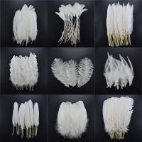 20pcs/Lot Rooster Pheasant Feathers for Crafts Peacock Feather Needlework