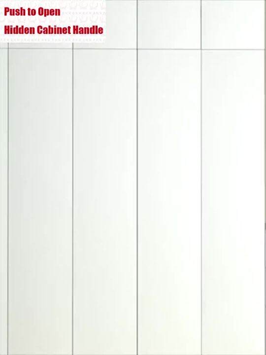 10Pcs Catches Stainless Steel Push to Open Hidden