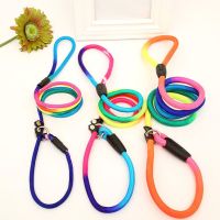 【LZ】 1Pcs Rainbow Nylon Dog Leash Training Dog  Personalized Leash Lead Strap Collar 130cm High Quality Dog Harness Color Randomly