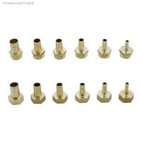 ♟❖✆ Brass 12mm 14mm 8mm 10mm 19mm 16mm Hose Barb Tail Fitting 3/4 BSP Female Male Thread Connector Joint Brass Pipe Coupler Adapter