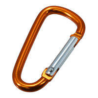 คาร์บิน่าขนาดเล็ก สีทอง  D-Ring S Gold