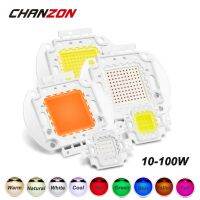 CHANZON ชิป LED 10W 20W 30W 50W 100W สีเขียวสีฟ้าสีเหลือง RGB สีขาวนวลตาธรรมชาติอันอบอุ่น440NM 660NM เต็มสเปกตรัม