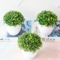 1 Set Artificial Bonsai Flowers Potted Ornaments /Simulation Grass with Pot / Decorative Fake Grass Garden Landscape Ornaments