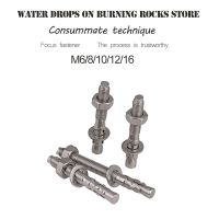 【✱2023 HOT✱】 nian037036036 304สแตนเลสขยายสกรู Wedge Anchor ผ่าน Bolt M6 M8 M10 M12 M16ขยายสกรูขยายสกรูขยาย Bolt