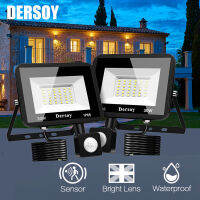 30W Floodlight Motion Sensor โคมไฟถนนสวน Floodlights เย็นสีขาวแสงกลางแจ้งสำหรับโรงรถ6000K ไฟ240 V ไฟ Led