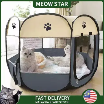 Cat hotsell show tent