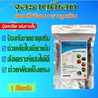 ผงจุลธาตุคีเลตรวม EDTA Chelate ธาตุอาหารรอง+เสริม (สีเขียว) เสริมสร้างการเจริญเติบโตของพืช ใบเขียวเข้ม บำรุงผล ขนาด 1 กก.