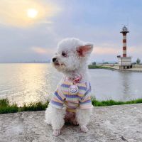 Spring Cotton Puppy Cat Dog Vest Shirt Cute Pet Clothes for Small Dogs Yorkies Chihuahua Shirts Mascotas Clothing perro chalecos