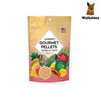 Lafeber Finch Tropical Fruit Gourmet Pellets (567g.) อาหารนกฟินซ์ผสมผลไม้เขตร้อนพรีเมี่ยมออร์แกนิคโดยสัตวแพทย์