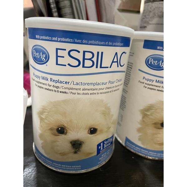 Esbilac Puppy Milk Replacer Lazada PH
