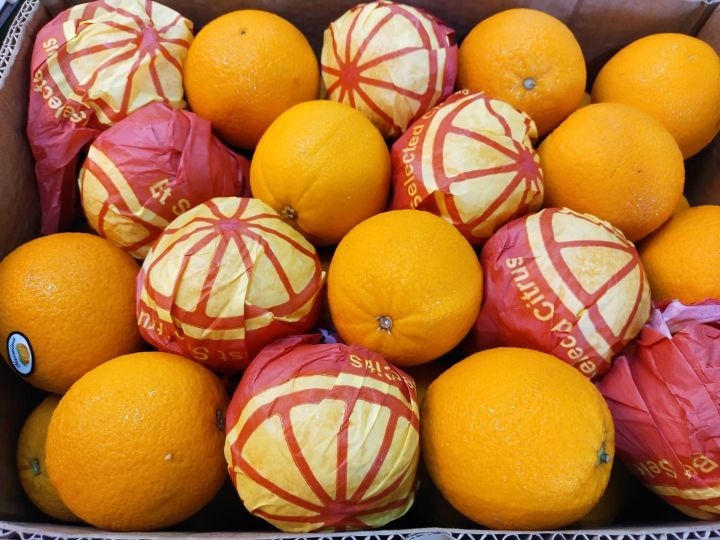 ส้ม-ส้มซันคริส-ส้มเวเลนเซีย-valencias-ลูกใหญ่-ยกลัง-56-64-ลูก-น้ำหนัก-15-กิโลกรัม