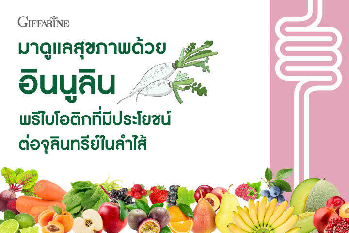 ไฟเบอร์-พรีไบโอติก-ใยอาหารสูง-giffarine-high-fiber-prebiotics