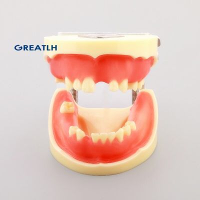 Dentistry Practice Implant Teeth Model For Cutting And Suturing Practices Teeth Implant Practice Model Missing Teeth M2002