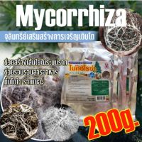 ของแท้ 100% ✨ ไมคอไรซ่า Mycorrhiza จุลินทรีย์เสริมสร้างการเจริญเติบโต เร่งโต เร่งราก ป้องกันโรค