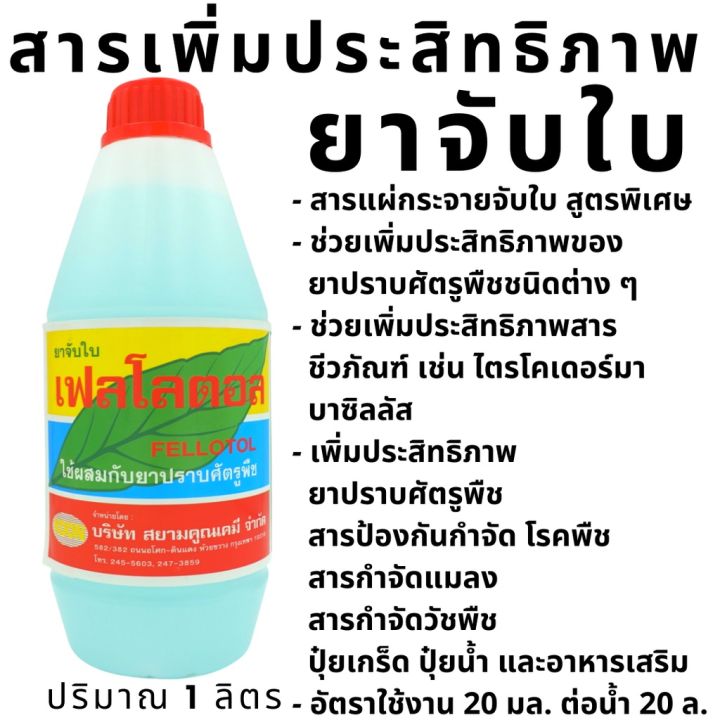 สารจับใบ-ยาจับใบ-ลิตรละ69บาท-ผสมฉีดได้-1-000ลิตร-จับใบ-สารเพิ่มประสิทธิภาพสารชีวภัณฑ์-ไตรโคเดอร์ม่า-บิววาเรีย-เมทาไรเซียม-สูตรเข้มข้น