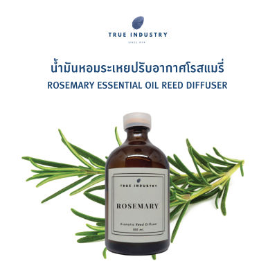 น้ำมันหอมระเหย โรสแมรี่ สำหรับปรับอากาศ (Rosemary Essential Oil Reed Diffuser)