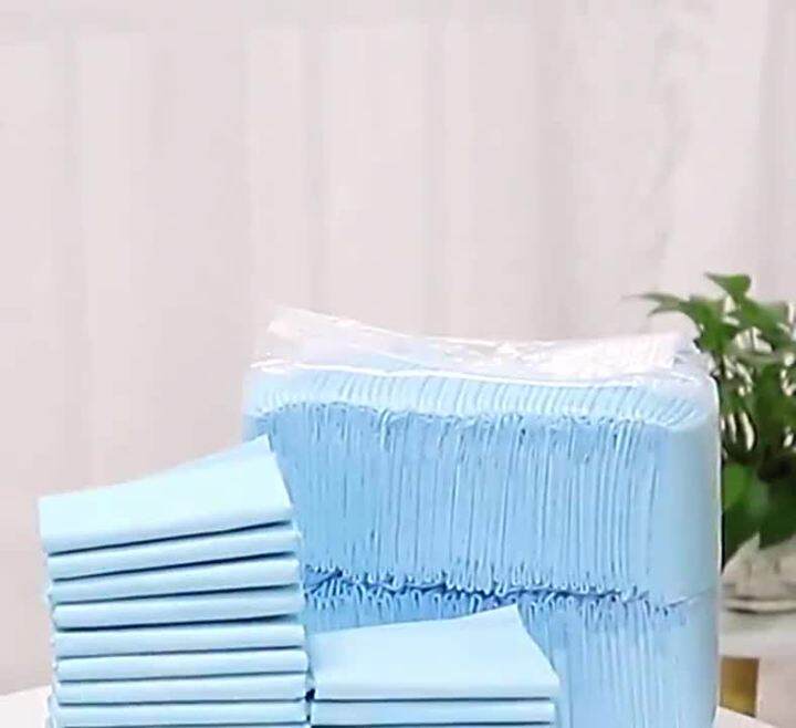 Cassiel Pet NEW LEMON 100 Pcs Pet Urine Pad Training Pad Wee Wee Pad