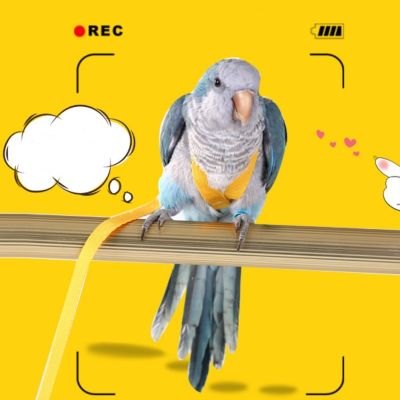 （PAPI PET）Parrot เชือกฝึกซ้อมบินได้ป้องกันการกัด,ชุดสายจูงปรับระดับได้พร้อมปีกน่ารักสำหรับ Peony Parrot Mynah อุปกรณ์การฝึกอบรม