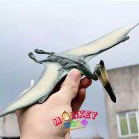 Monkey Toys - โมเดล ไดโนเสาร์ Pterosaurus เขียว ขนาด 25.00 CM (จากหาดใหญ่)