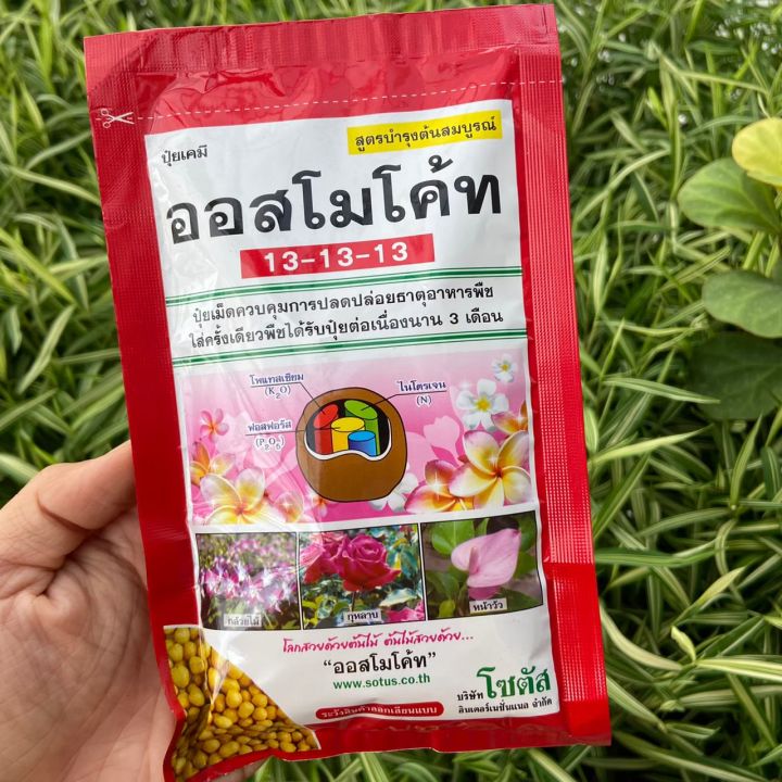 ปุ๋ยอนินทรีย์-ออสโมโค้ท-13-13-13-สูตรนิยม-สูตร-3-เดือน-100g