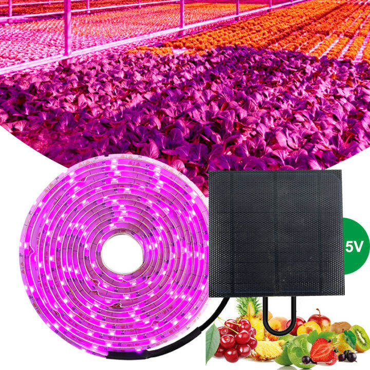 5m-2835-led-แบบ-smd-พลังงานแสงอาทิตย์-full-spectrum-phyto-ดอกไม้สำหรับผักต้นกล้า