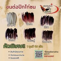 ปีกต่อไก่ชน ปีกไก่ชน 1ชุดมี 40เส้น (ขาว) (สา) (ดู่) (กรด) (หม่น) (ดอก) คัดสวยๆทุกเส้น ไม่เปาะ ปีกแข็งแรง