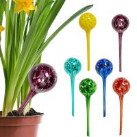 【CC】 6Pcs Indoor Watering Globes Bulbs Globe Irrigation Device Hand-Blown Glass 15cm