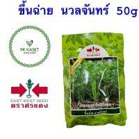 ♚เมล็ดขึ้นฉ่าย นวลจันทร์ 50 g ตราศรแดง☟