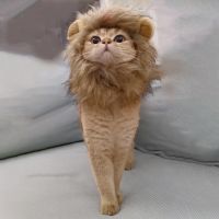 ZZOOI Cat Costumes Lion Mane Wig Hat for Dogs and Cat Small Dog Pet Cat Decor Accessories Lion Wig Fancy Hair Cap Pet Supplies