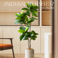 [PRE15วันค่ะ]?INDIAN RUBBER TREE ต้นยางอินเดียปลอม ฟอร์มสวยมาก ใบเหมือนจริงมากๆ มินิมอลดูดี แต่งบ้านสวยสุดๆ