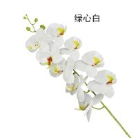 การจำลองสาขาเดียวดอกไม้ปลอมการพิมพ์3d 9หัว Phalaenopsis กล้วยไม้รู้สึกเหมือนจริงสำหรับตกแต่งบ้านงานแต่งงาน