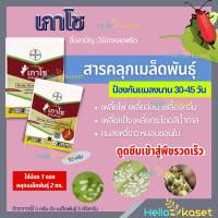 ยาคลุกเมล็ด เกาโช ขนาด 10g อิมิดาคลอพริด คลุกเมล็ดก่อนปลูก แมลงในดิน กำจัดเพลี้ย คลุกเมล็ดพันธุ์ สารกำจัดแมลง