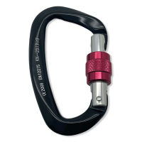 25KN Lock Hook Rock Climbing Clip D-Shape Large Carabiner Heavy Screw