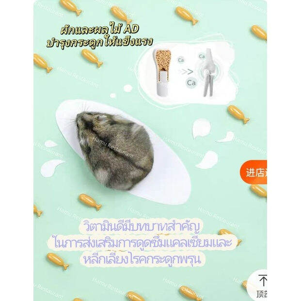 hamu-yee-life-no-1-capsule-แคปซูลวิตามินบำรุงร่างกายสำหรับแฮมสเตอร์-มีทั้งหมด-5-สูตร-อาหารเสริมแฮมสเตอร์