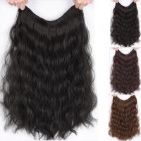 DIANQI 16 Inch V-Shaped Half Wig Clip In piece Hair Extensions Synthetic Hairpiece