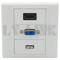 【cw】 USB wall plate with female to connectors ！