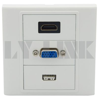 【cw】 USB wall plate with female to connectors ！