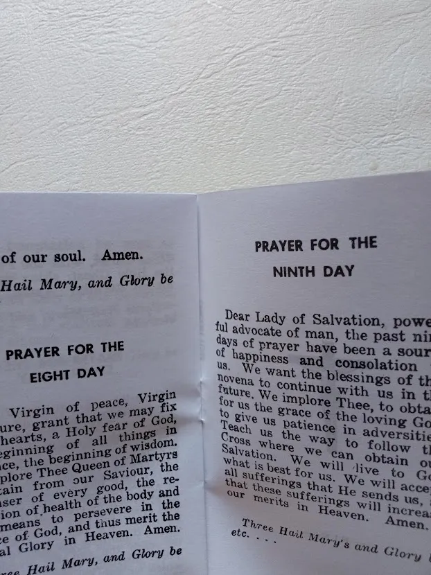 Novena Prayer Our Lady Of Salvacion Virgin Of Salvation English Novena Englisg Or alog Lazada Ph