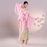 New classical dance clothing womens elegant body rhyme gauze Chinese style practice clothing Chinese dance repertoire performance clothing suit