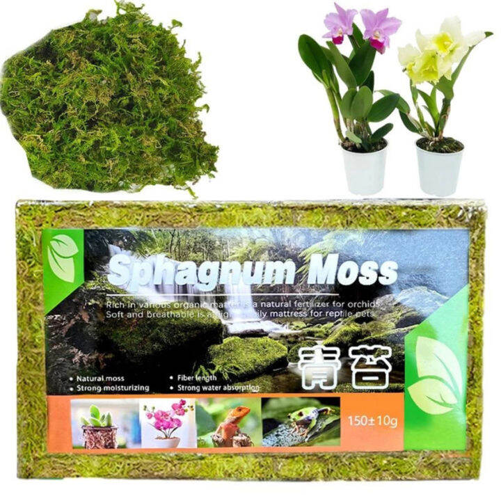 Plant Sphagnum Moss 150g Natural Moss Potting Mix Nutrition Organic