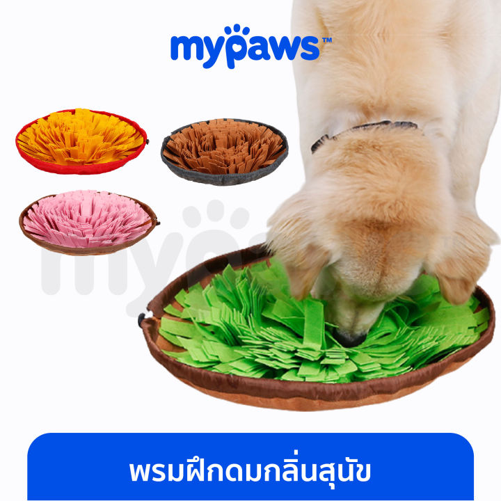 my-paws-พรมฝึกดมกลิ่นสุนัข-d-หาของเล่น-หาขนม-ฝึกทักษะการดม-ซักทำความสะอาดง่าย